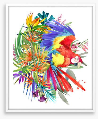 Paradise bloom parrot II