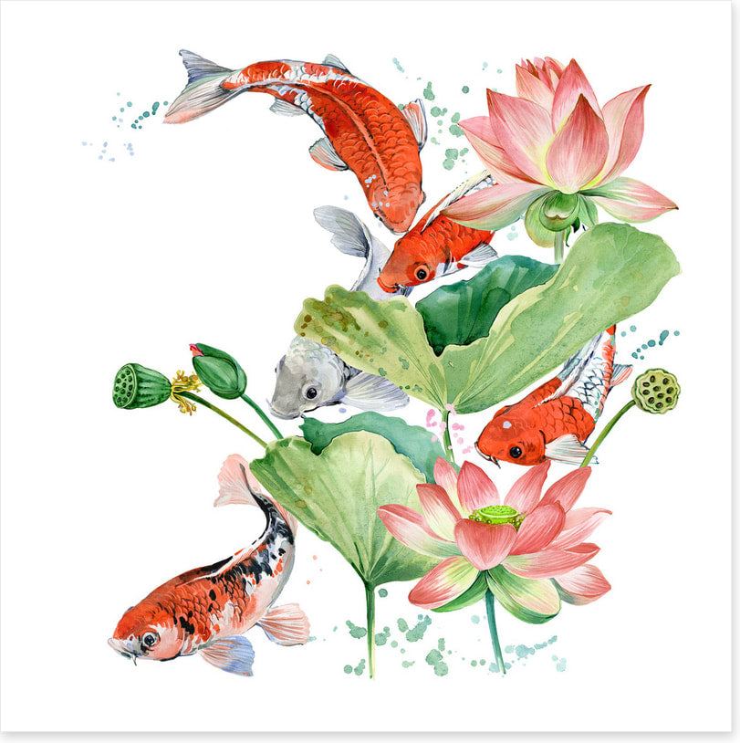 Pink lotus koi 2