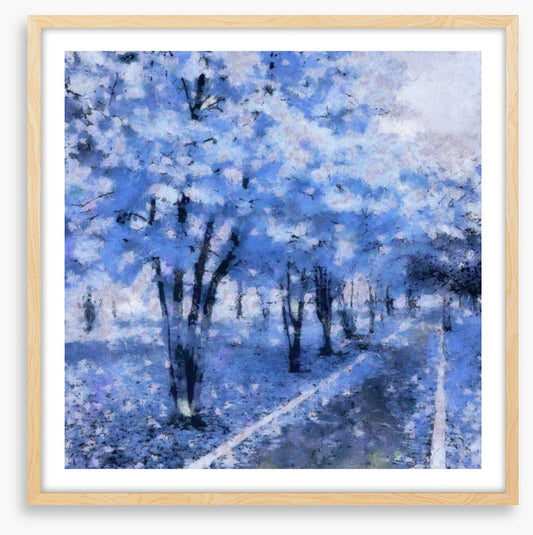 Snow blue avenue