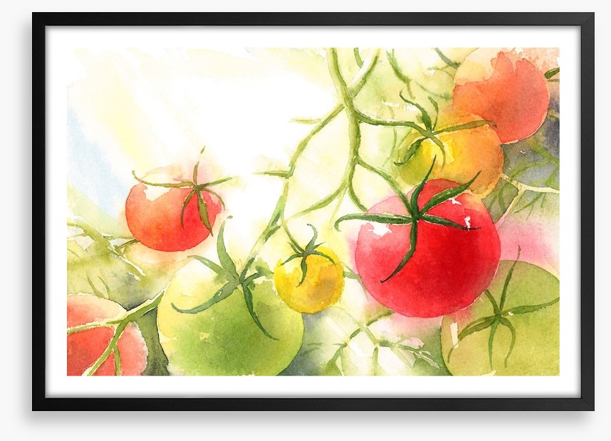 Vine ripened