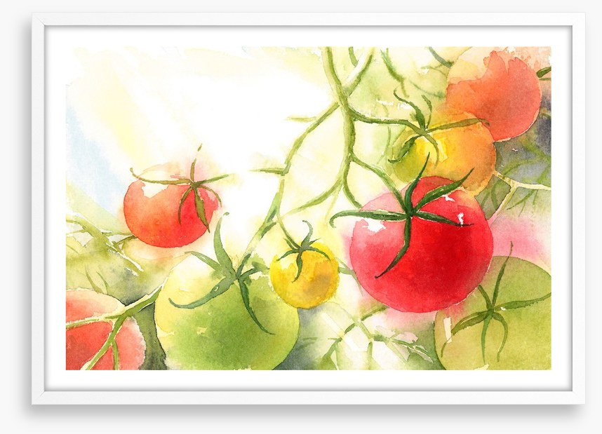 Vine ripened
