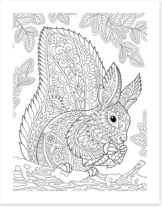 Colour Your Own