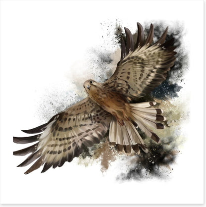 Flight of the falcon