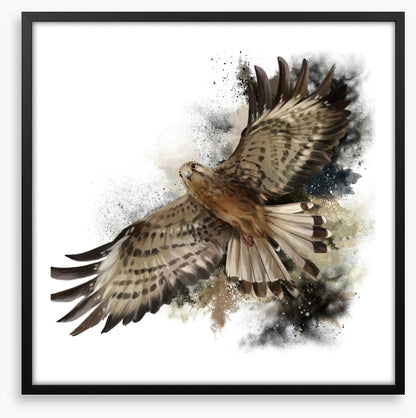 Flight of the falcon