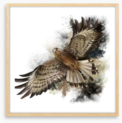 Flight of the falcon