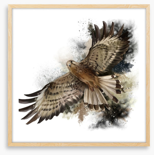 Flight of the falcon