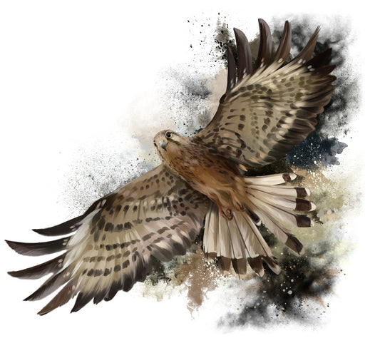 Flight of the falcon