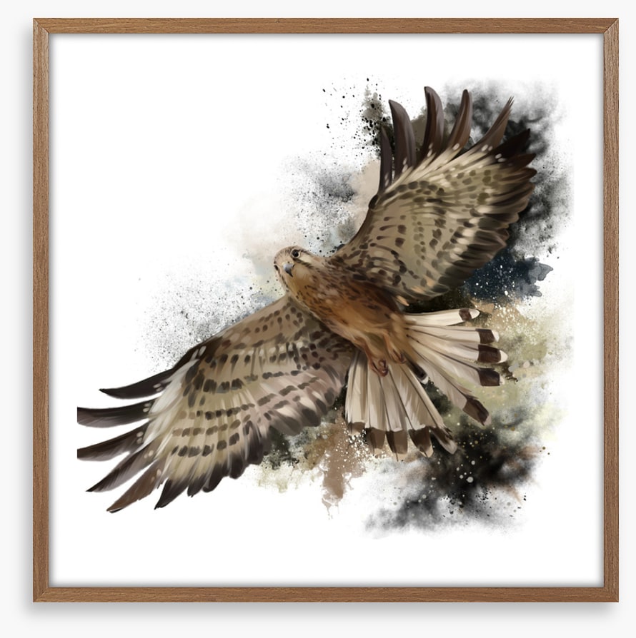 Flight of the falcon
