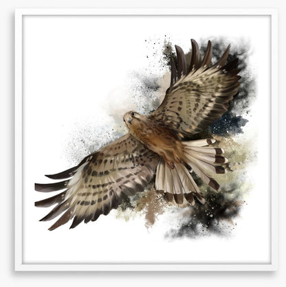 Flight of the falcon
