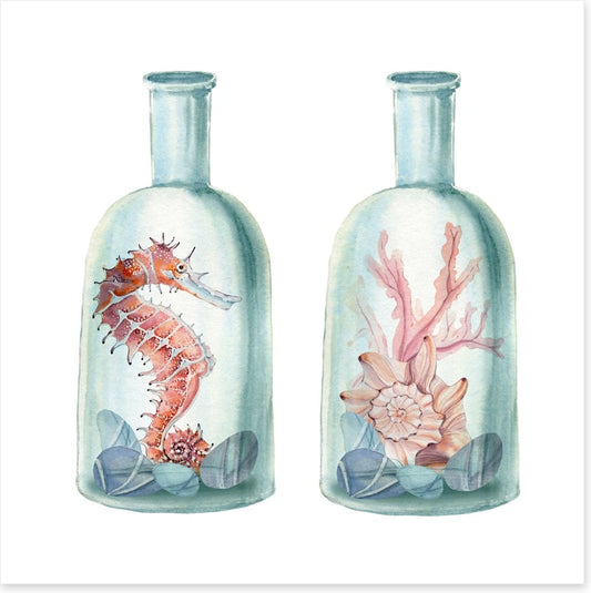 Ocean bottles