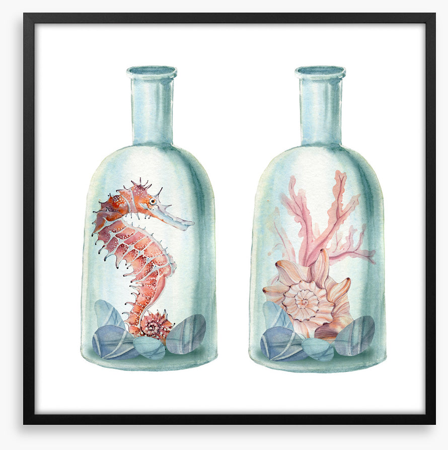 Ocean bottles