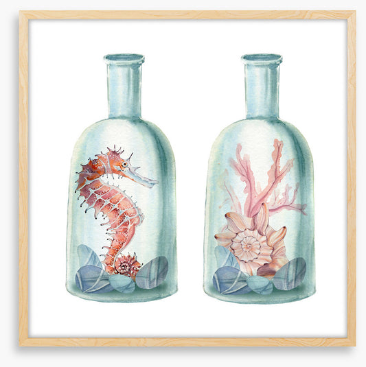 Ocean bottles