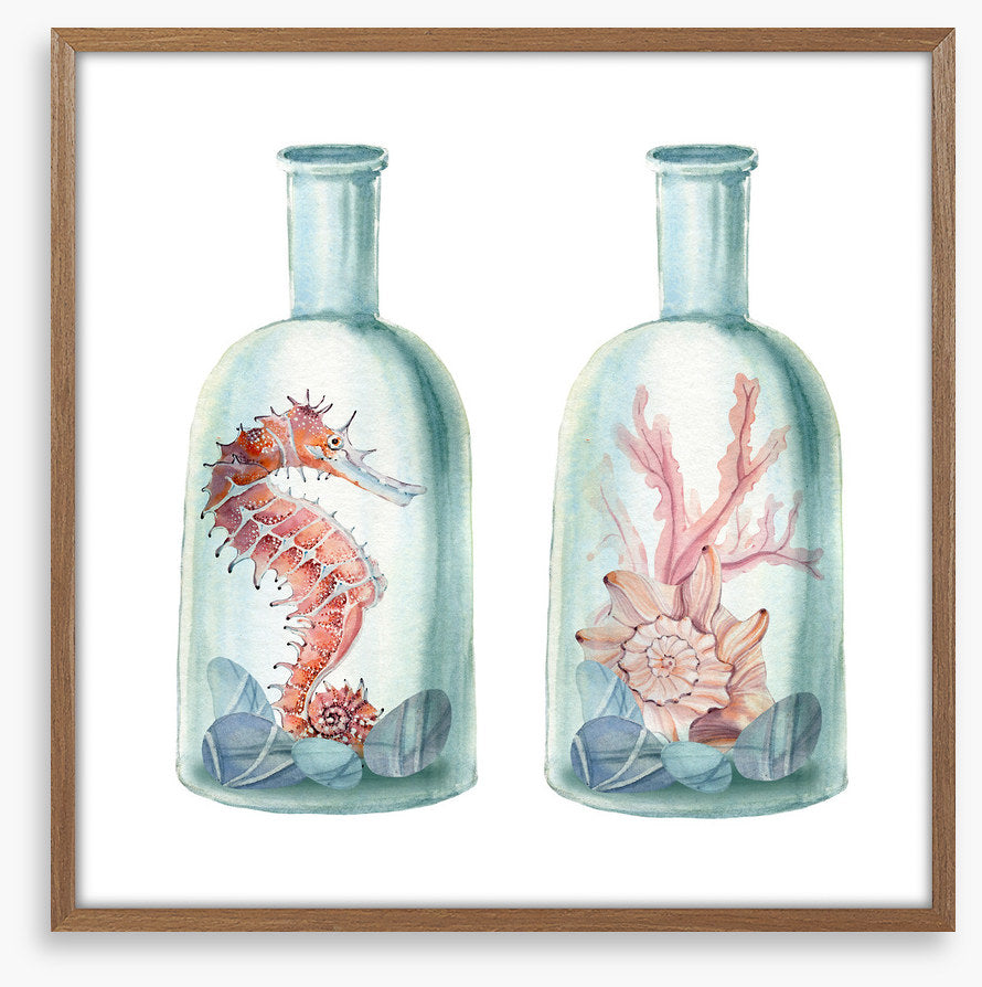 Ocean bottles