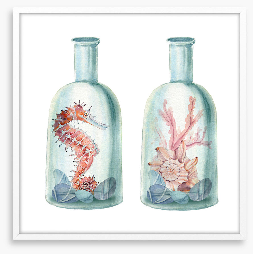 Ocean bottles