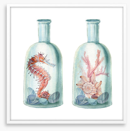 Ocean bottles