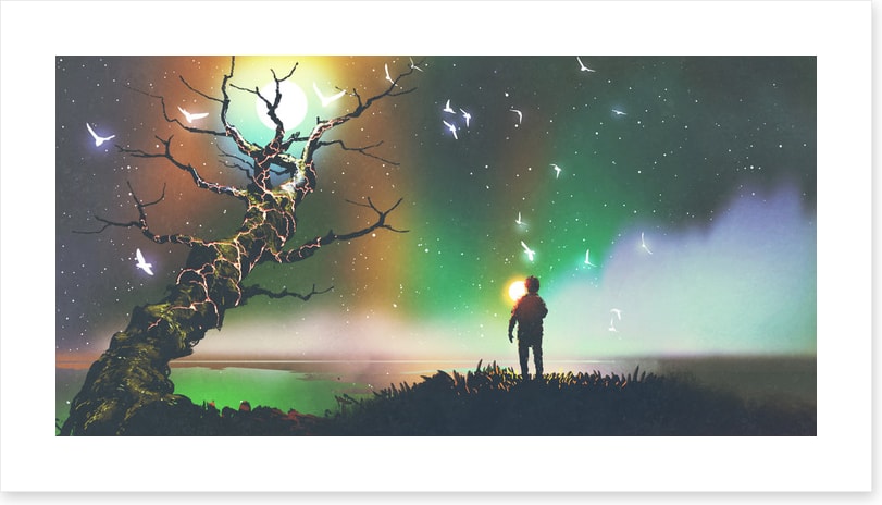 Aurora light flight