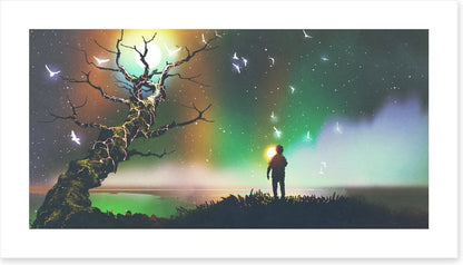 Aurora light flight