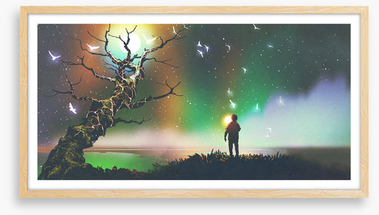 Aurora light flight