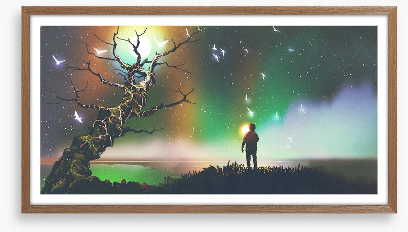 Aurora light flight