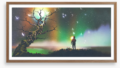Aurora light flight