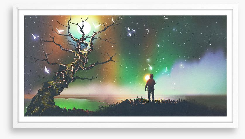 Aurora light flight