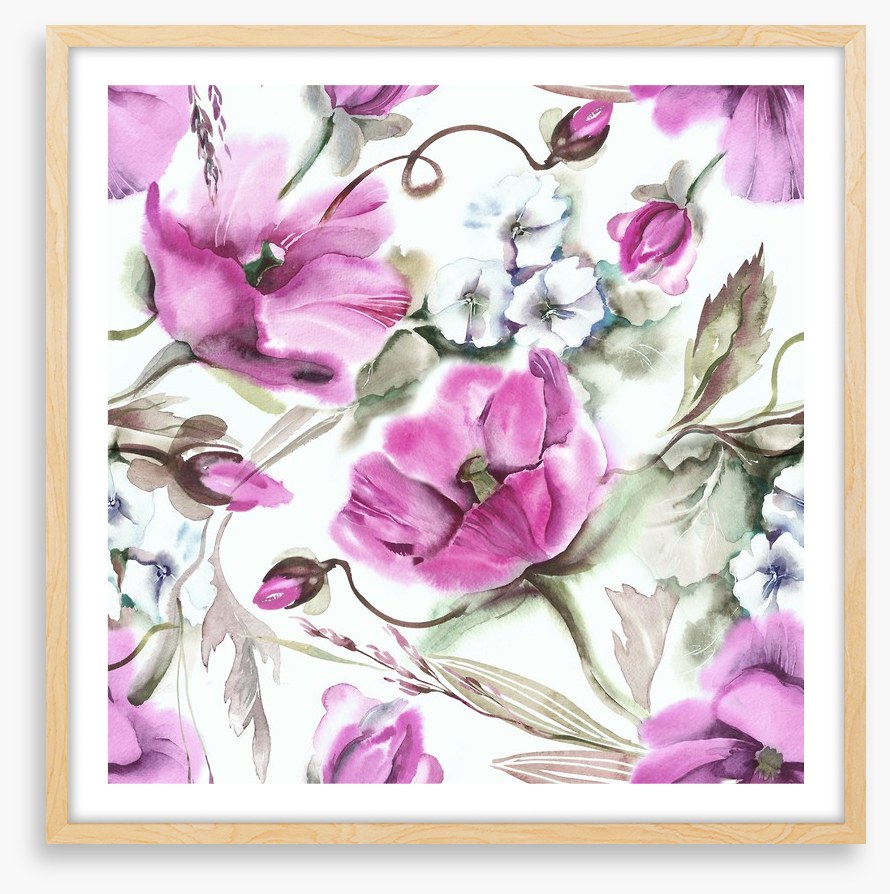 Softly poppy