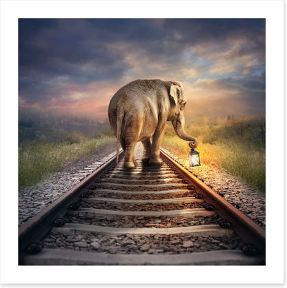 Lead the way