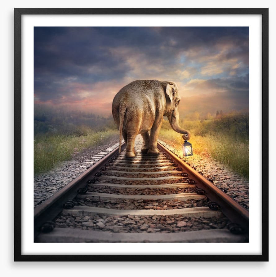 Lead the way
