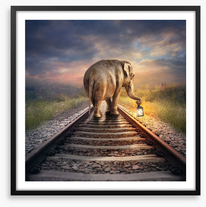 Lead the way