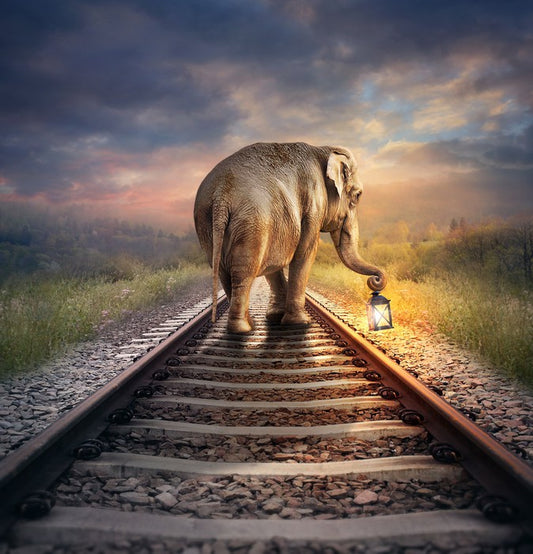 Lead the way