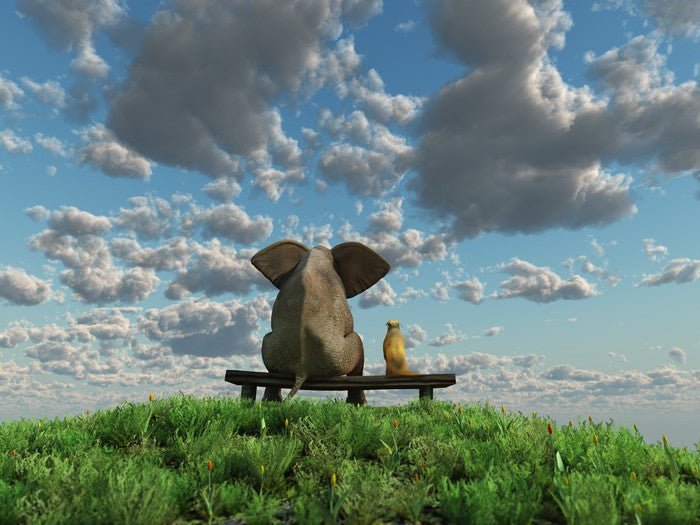 Together on the hill