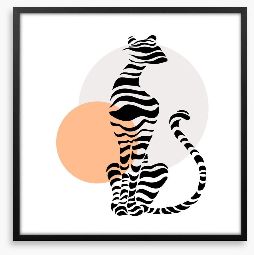 Big cat sundown