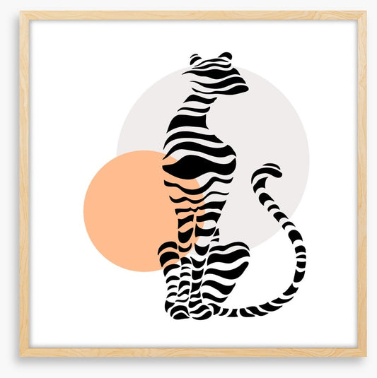 Big cat sundown