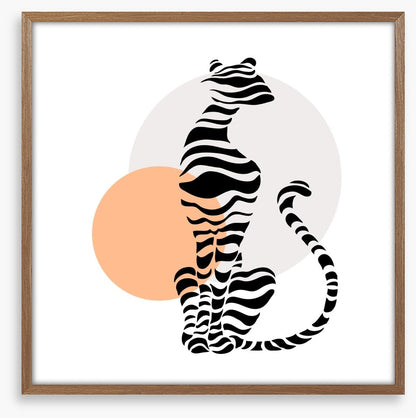 Big cat sundown