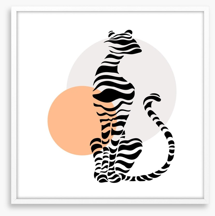 Big cat sundown