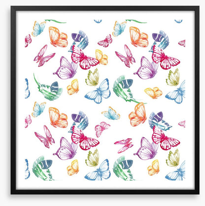 Butterflies