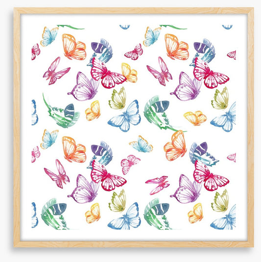 Butterflies