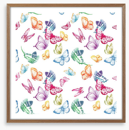 Butterflies