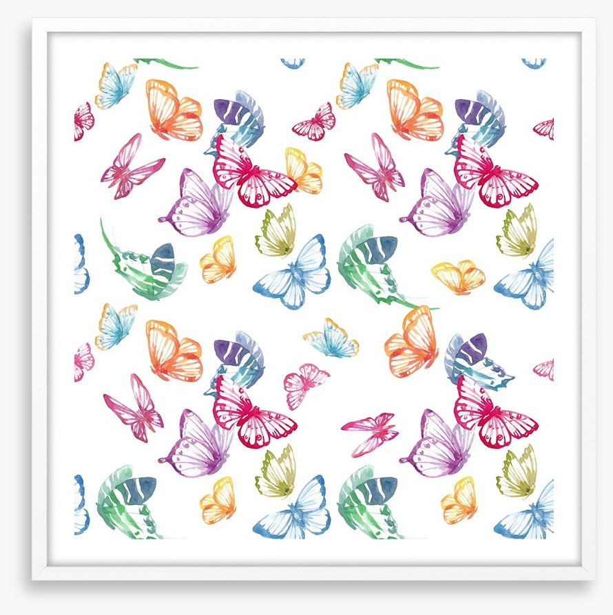 Butterflies