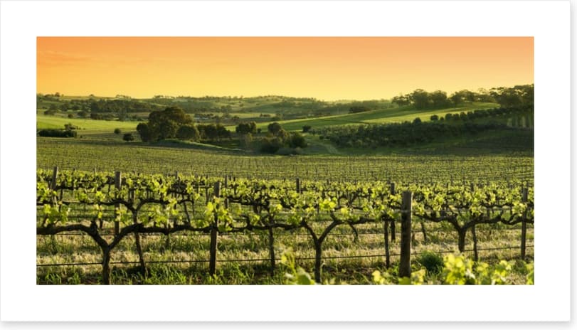 Barossa Valley sunset
