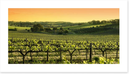 Barossa Valley sunset