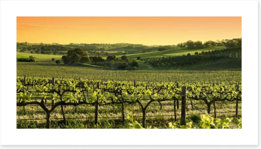 Barossa Valley sunset