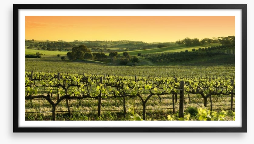 Barossa Valley sunset