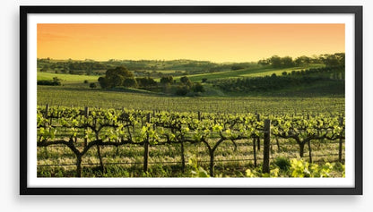 Barossa Valley sunset