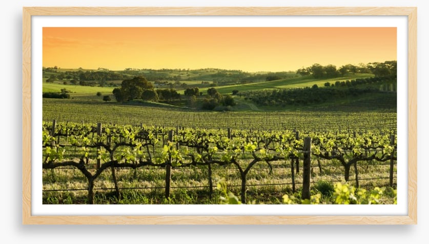 Barossa Valley sunset