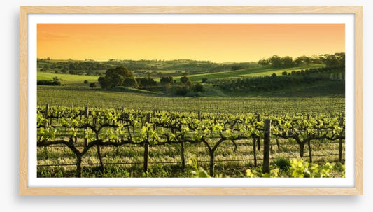 Barossa Valley sunset