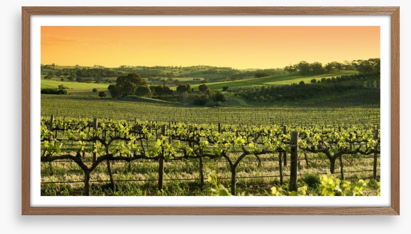 Barossa Valley sunset