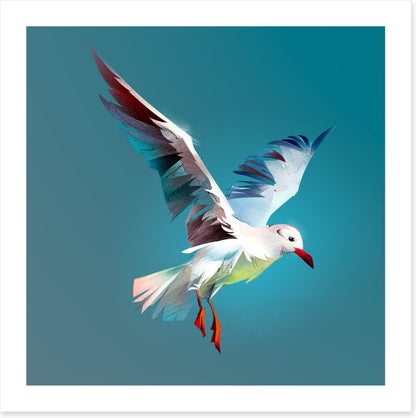 Birds