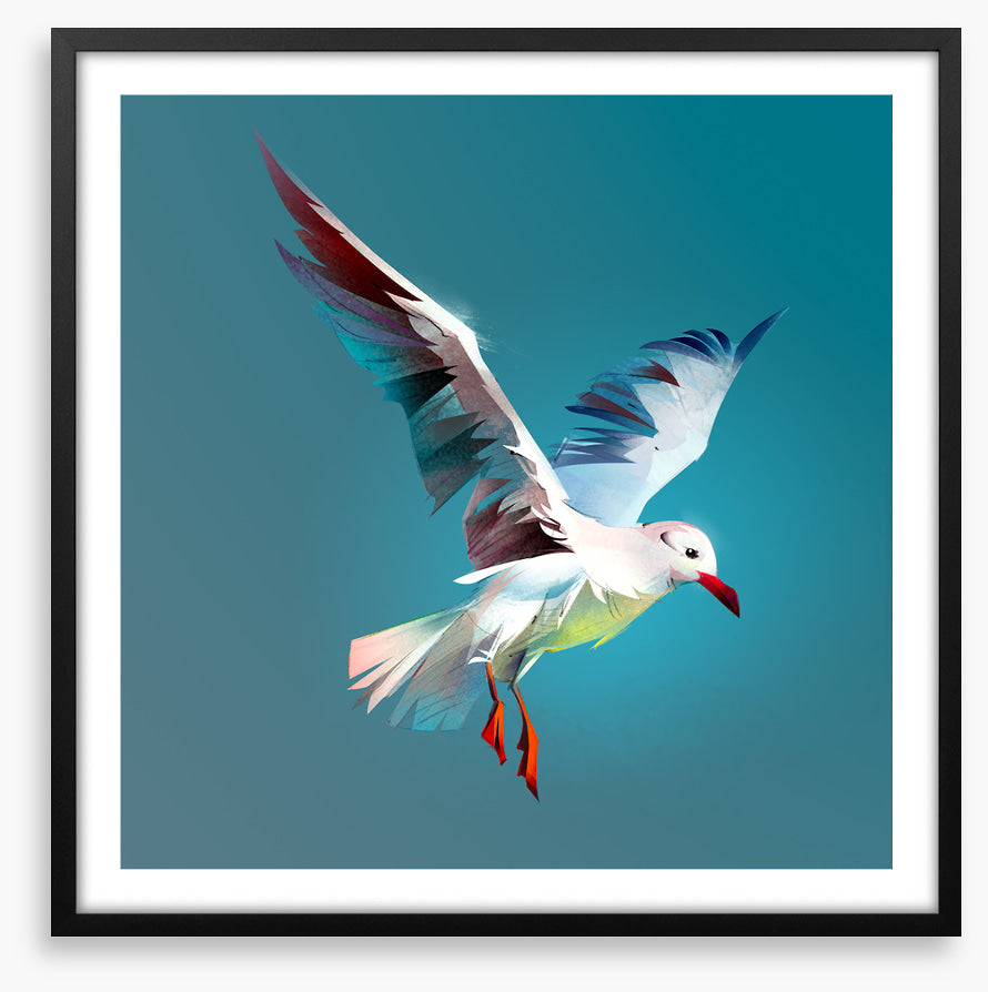 Birds