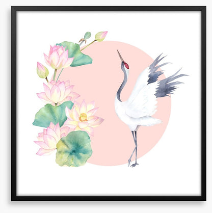 Pink lotus crane